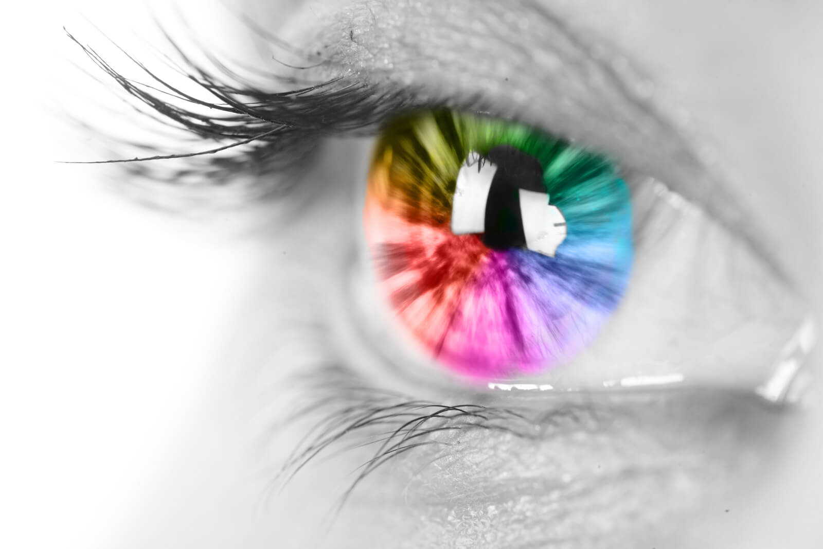 Our Vision